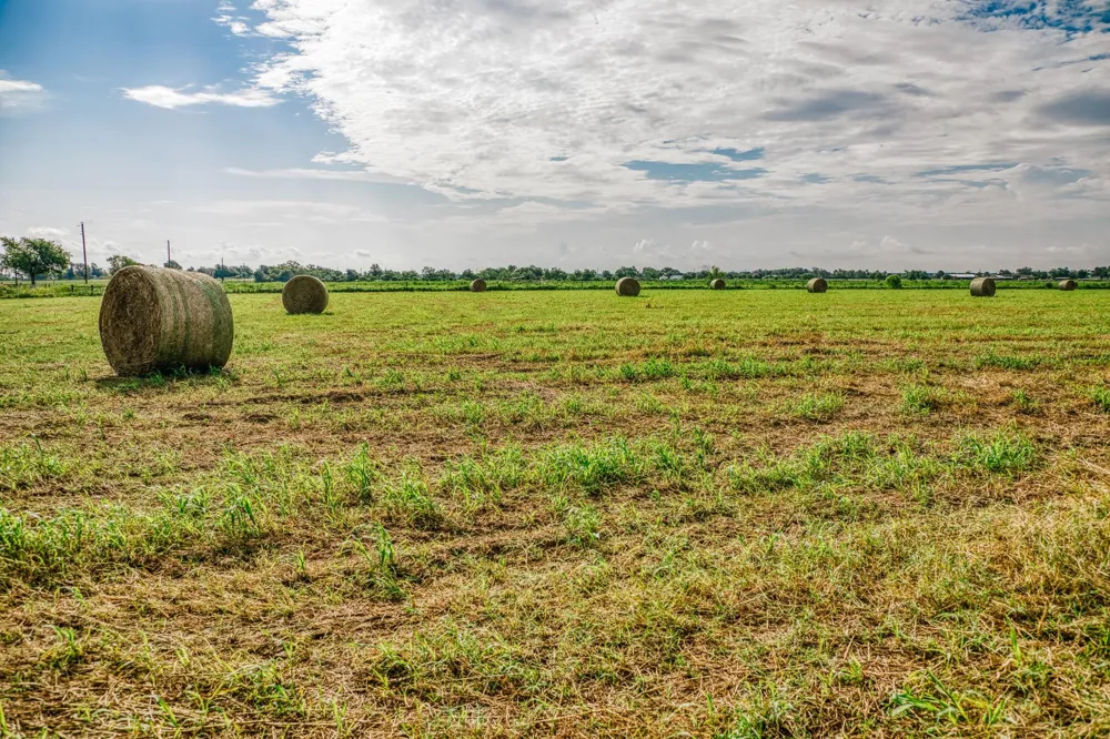 Richard Frey Road Waller, TX 77484