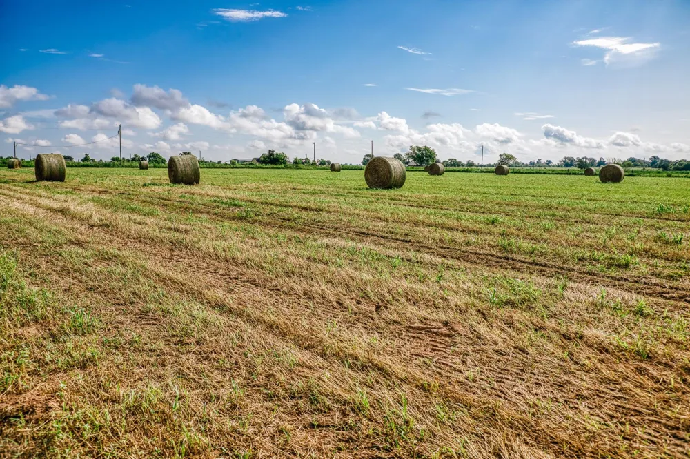 Richard Frey Road Waller, TX 77484
