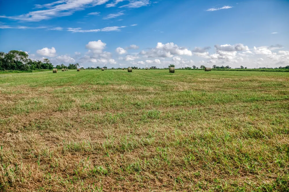 Richard Frey Road Waller, TX 77484