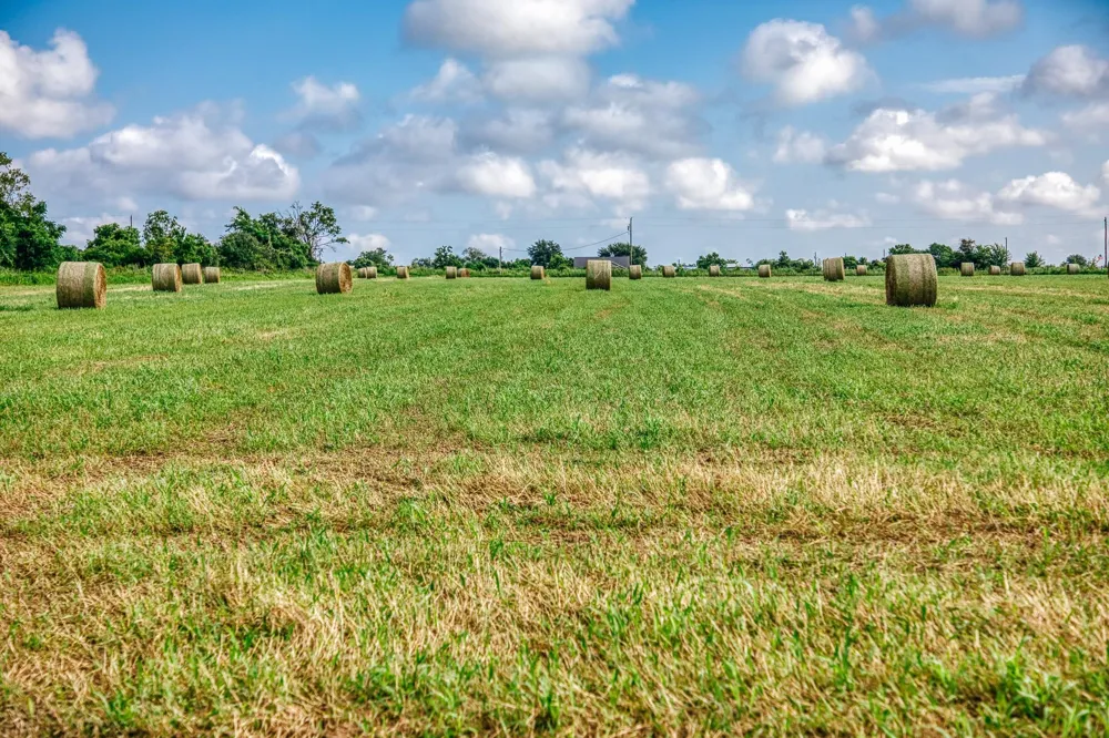 Richard Frey Road Waller, TX 77484
