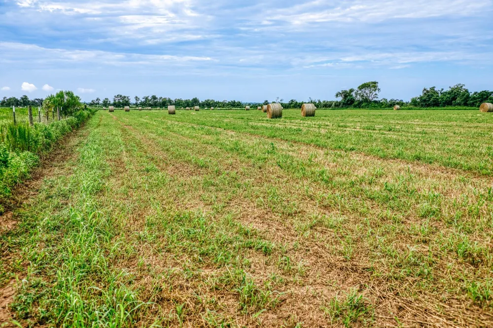 Richard Frey Road Waller, TX 77484
