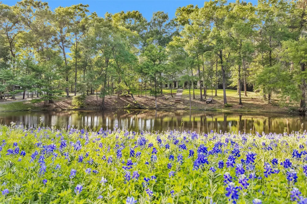 13250 Fm 830 Willis, TX 77318