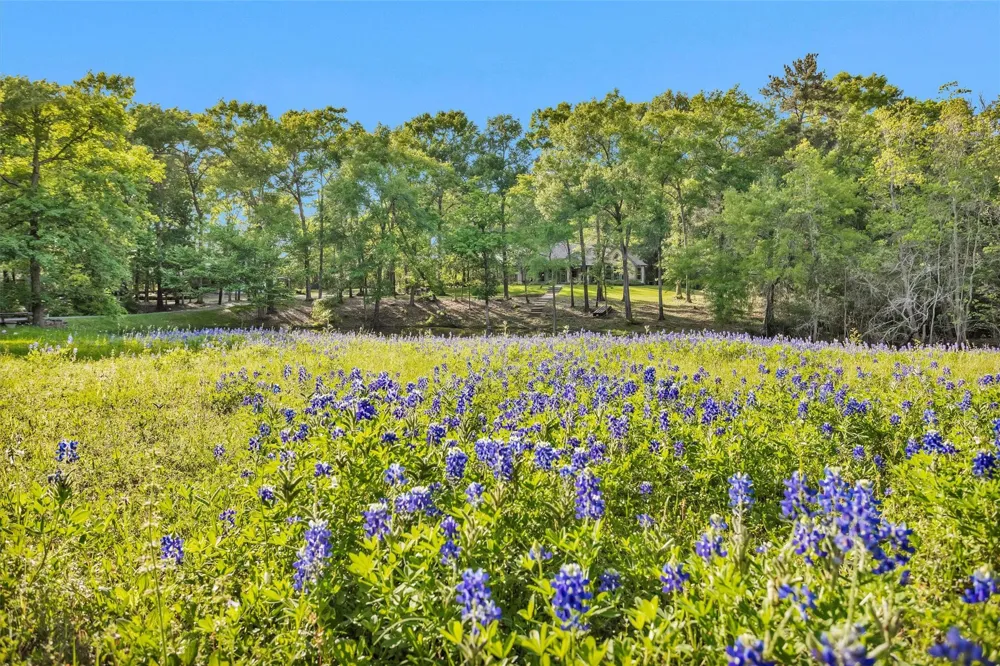 13250 Fm 830 Willis, TX 77318