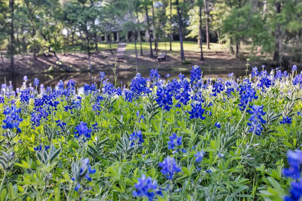 13250 Fm 830 Willis, TX 77318
