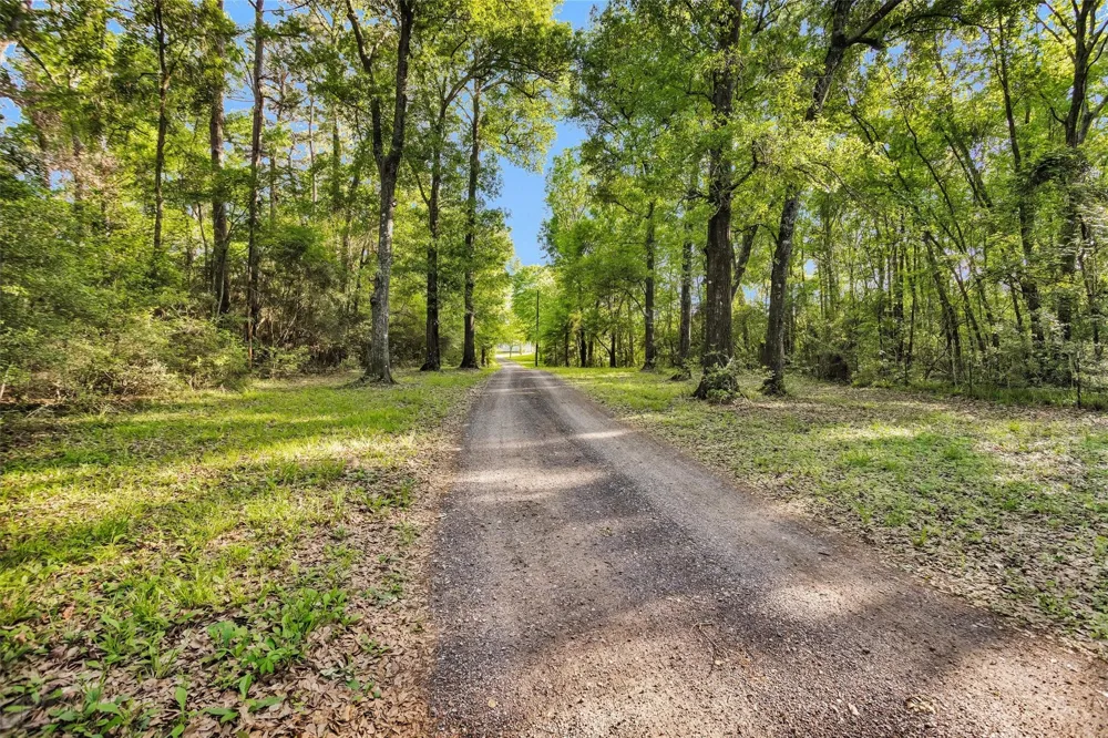 13250 Fm 830 Willis, TX 77318