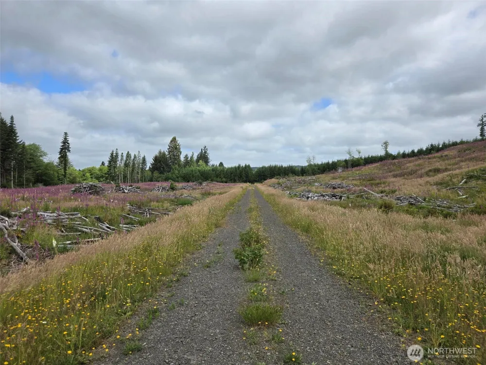 0 Off of North River Road Cosmopolis, WA 98537