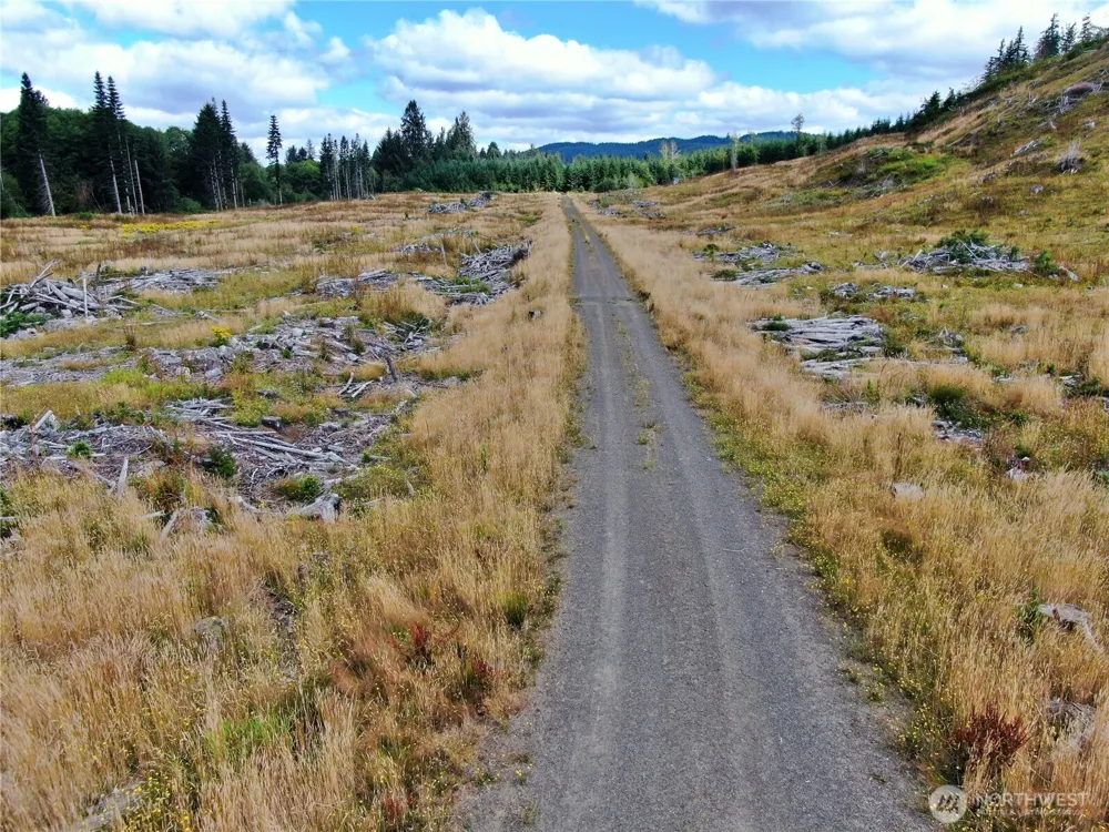 0 Off of North River Road Cosmopolis, WA 98537