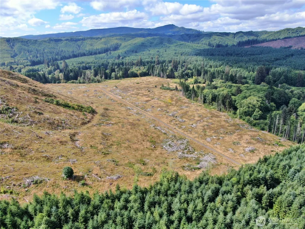 0 Off of North River Road Cosmopolis, WA 98537