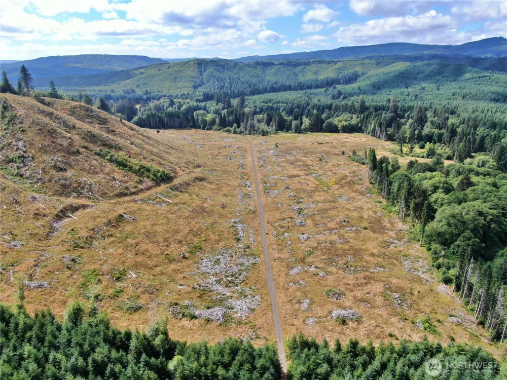 0 Off of North River Road Cosmopolis, WA 98537