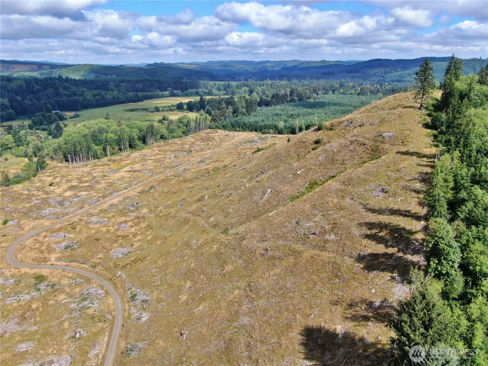 0 Off of North River Road Cosmopolis, WA 98537