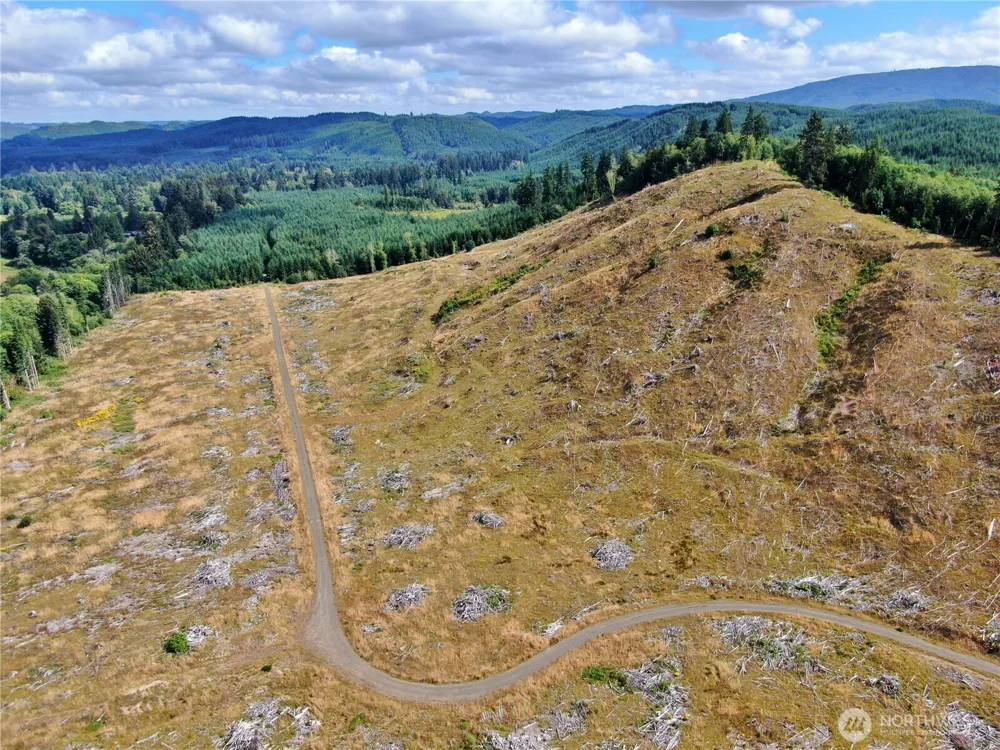 0 Off of North River Road Cosmopolis, WA 98537