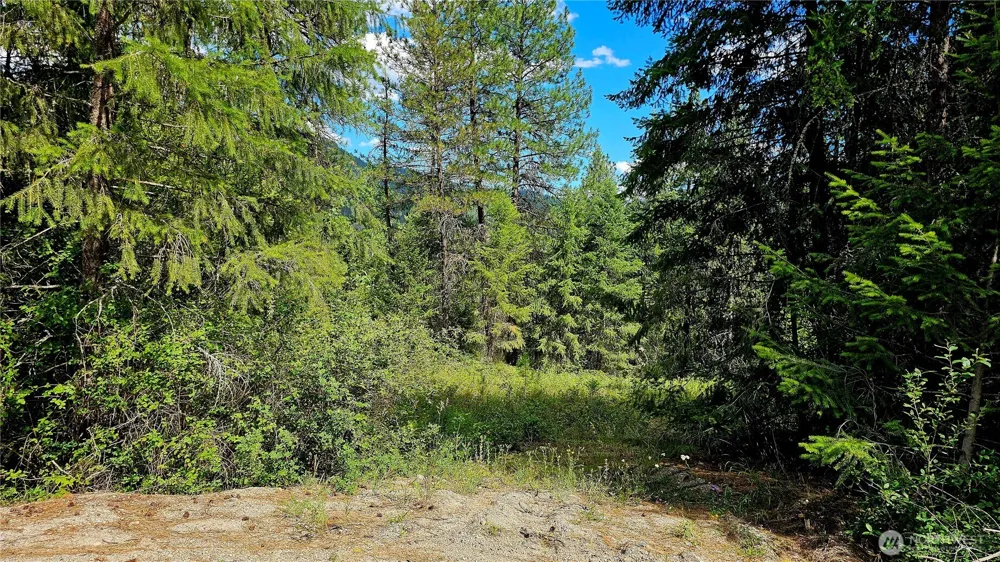 10 Humes Road Kettle Falls, WA 99141