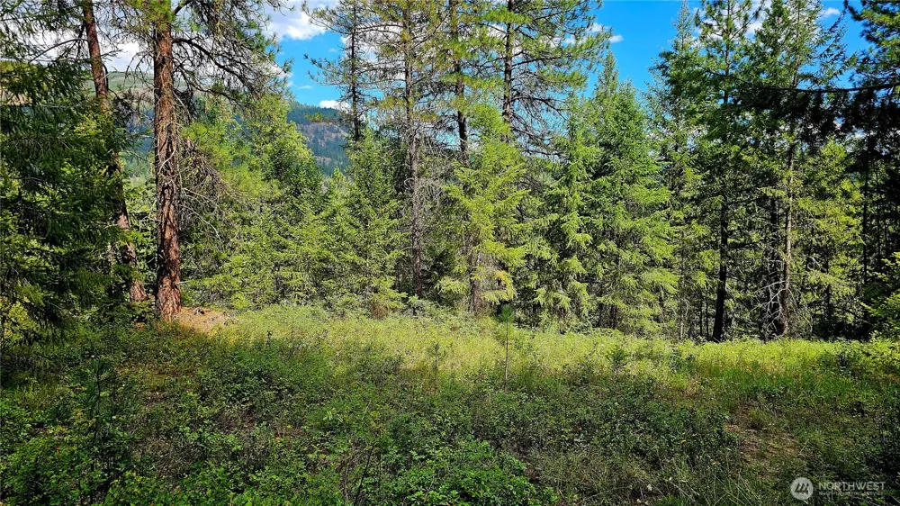 10 Humes Road Kettle Falls, WA 99141