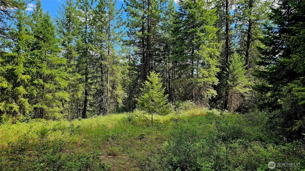10 Humes Road Kettle Falls, WA 99141