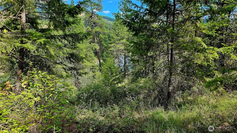 10 Humes Road Kettle Falls, WA 99141
