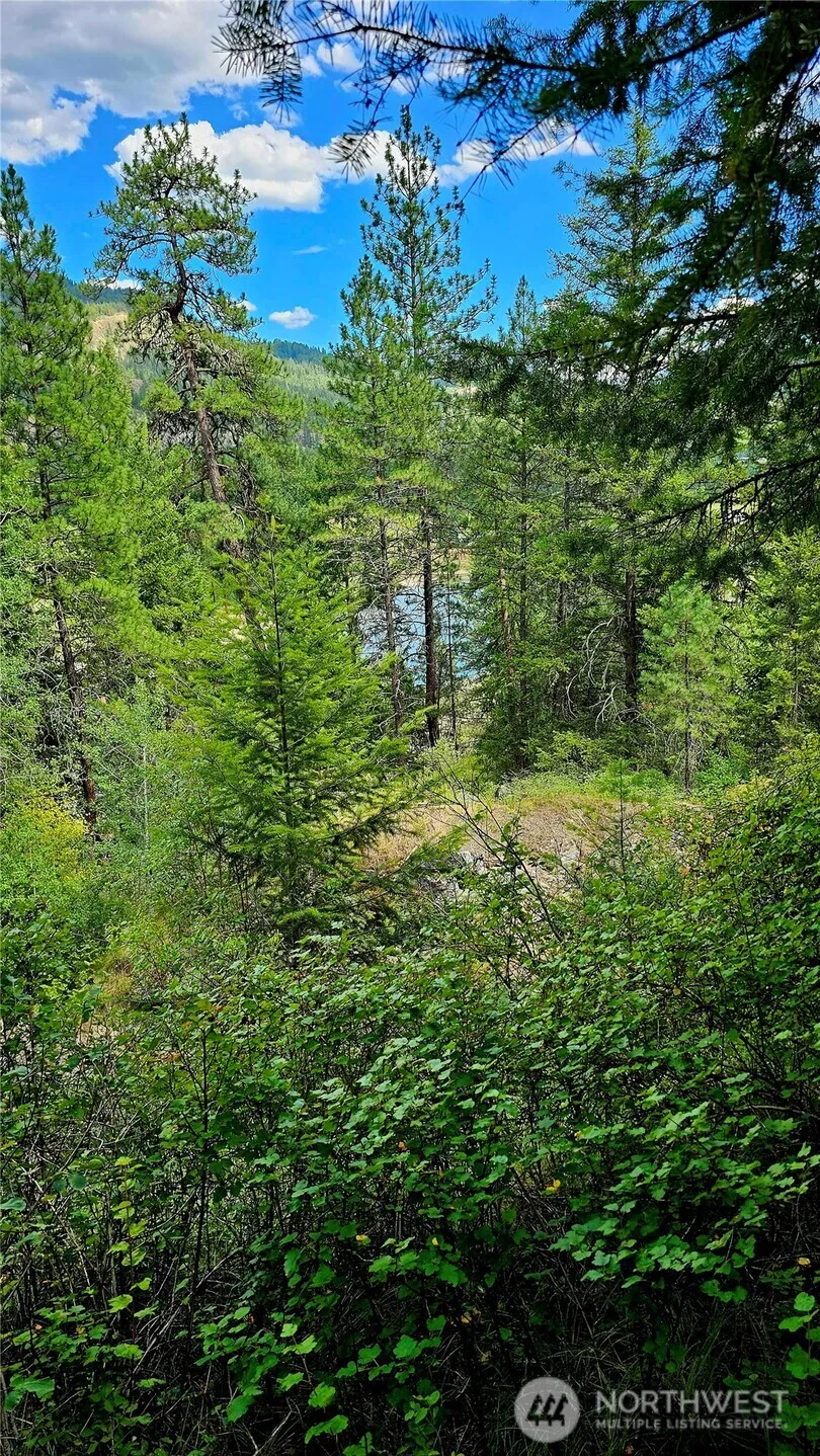 10 Humes Road Kettle Falls, WA 99141