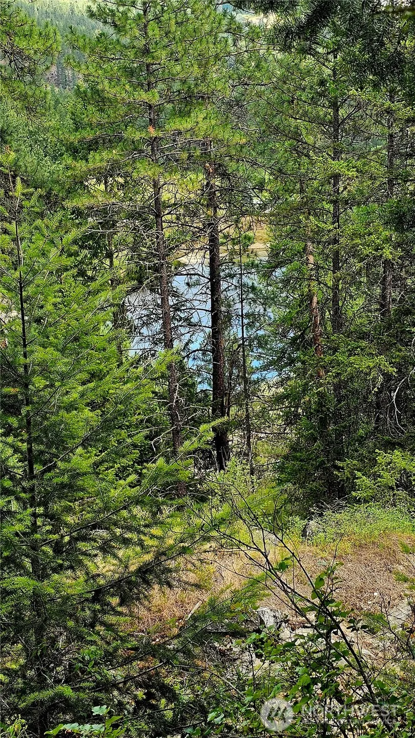 10 Humes Road Kettle Falls, WA 99141