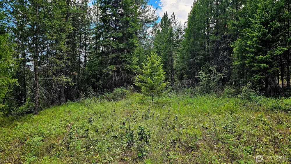 10 Humes Road Kettle Falls, WA 99141