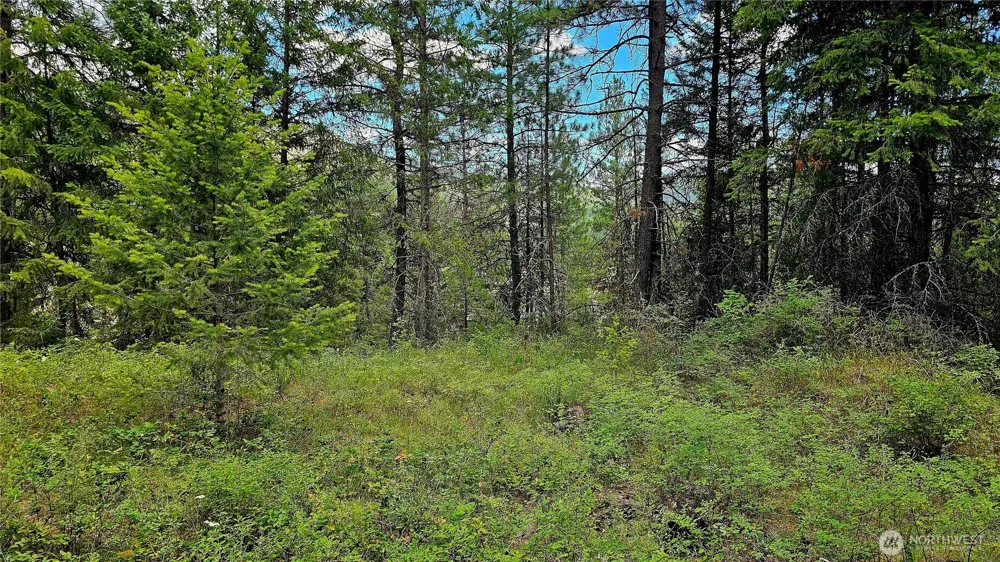 10 Humes Road Kettle Falls, WA 99141