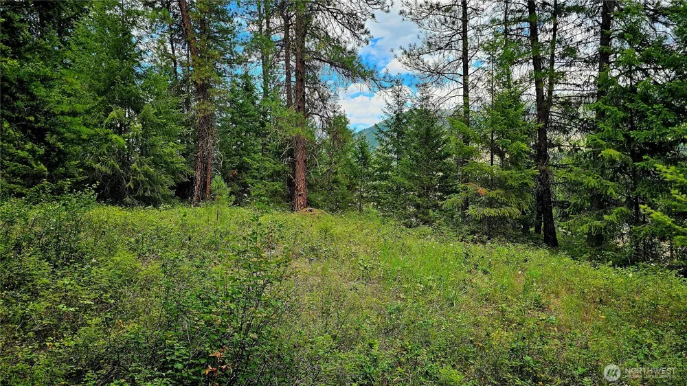 10 Humes Road Kettle Falls, WA 99141