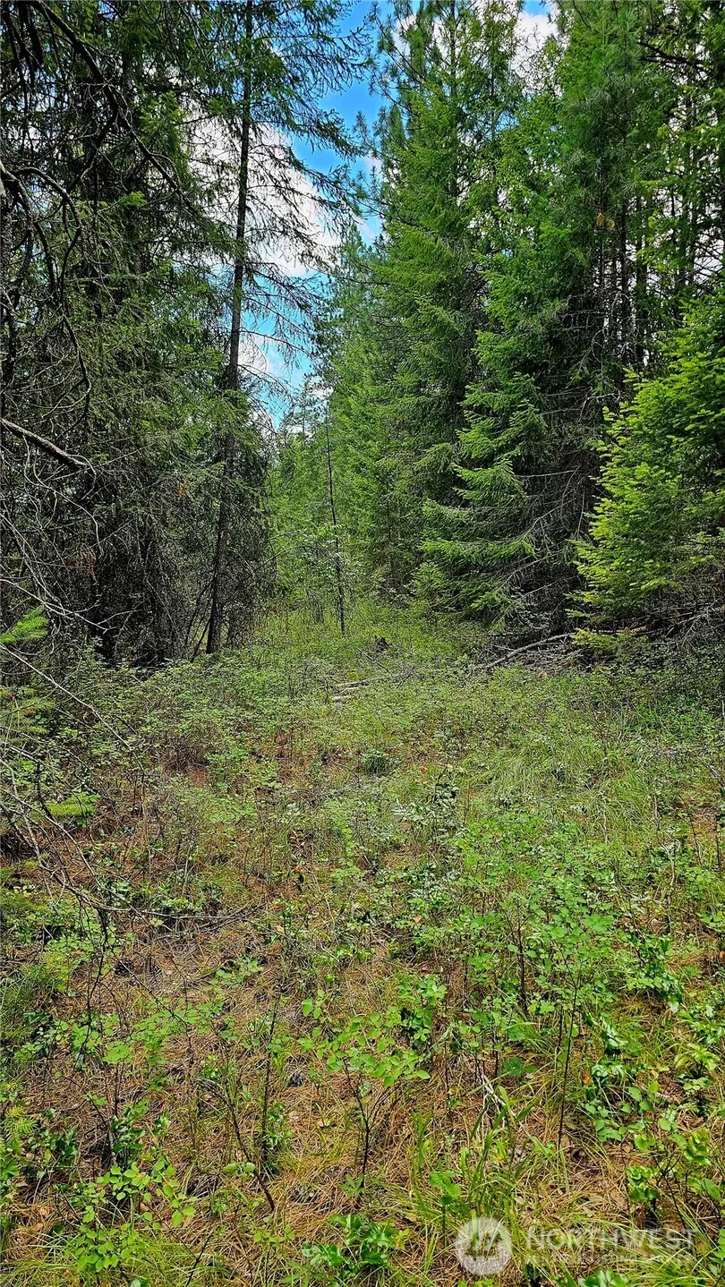10 Humes Road Kettle Falls, WA 99141