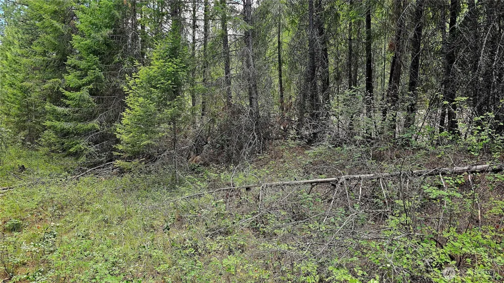 10 Humes Road Kettle Falls, WA 99141