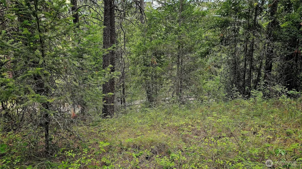 10 Humes Road Kettle Falls, WA 99141