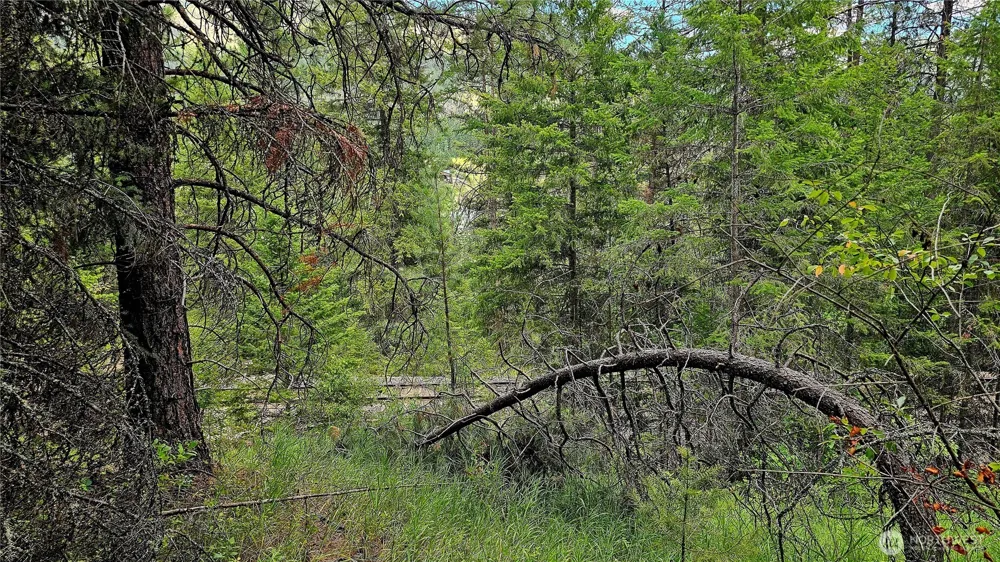 10 Humes Road Kettle Falls, WA 99141