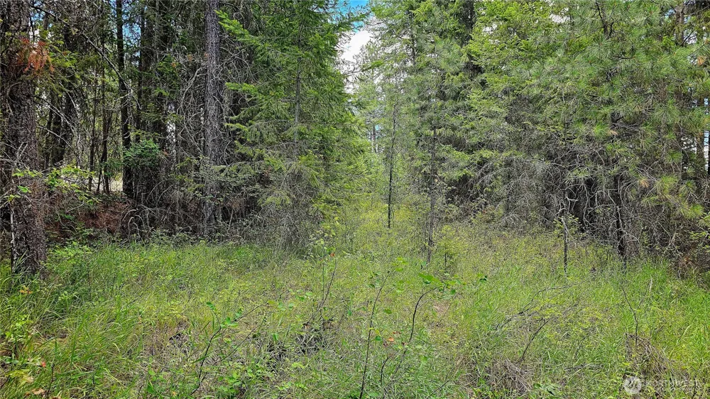 10 Humes Road Kettle Falls, WA 99141