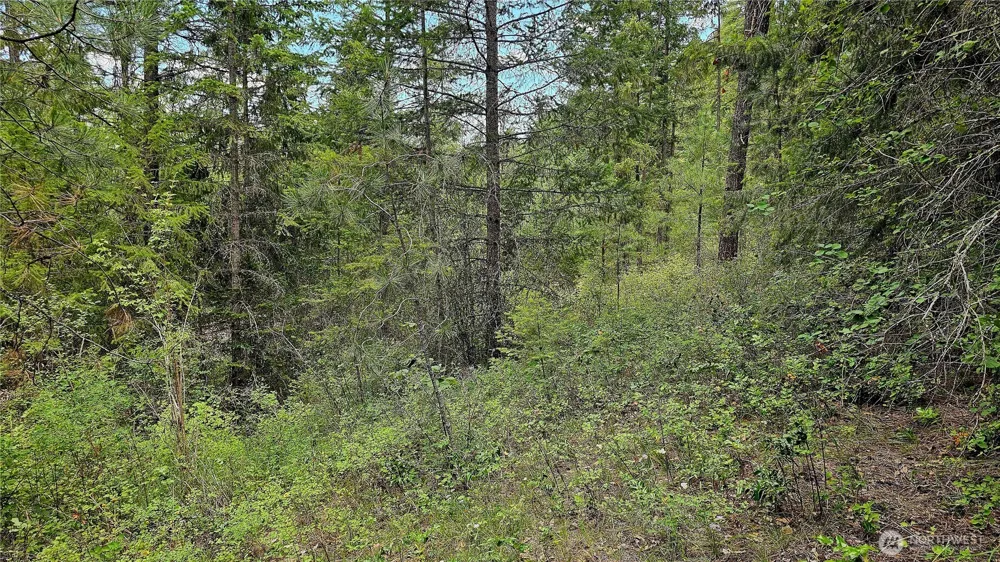 10 Humes Road Kettle Falls, WA 99141