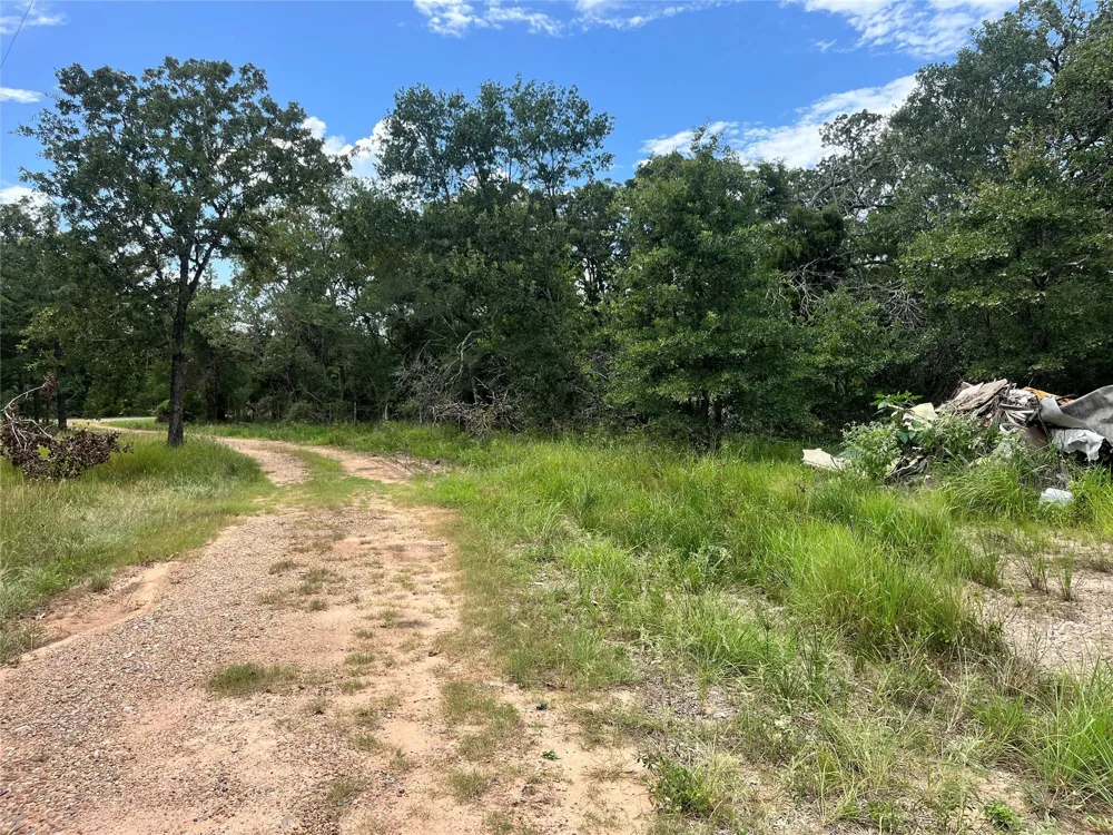 22243 Kmiec Road Hempstead, TX 77445