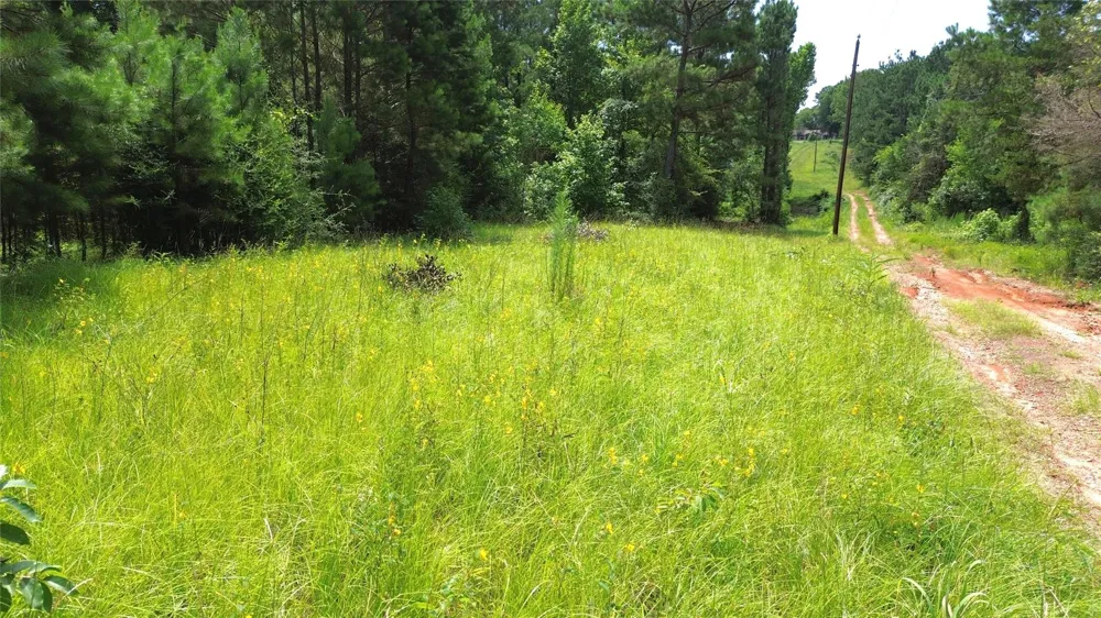 462 Cr 1655 Crockett, TX 75835