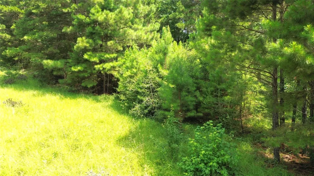 462 Cr 1655 Crockett, TX 75835