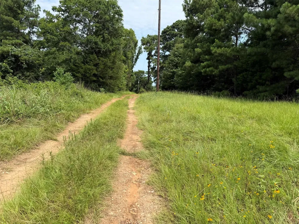 462 Cr 1655 Crockett, TX 75835