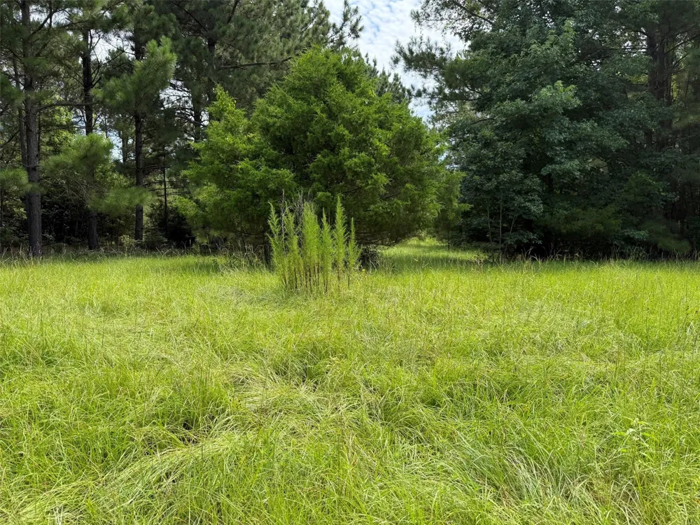 462 Cr 1655 Crockett, TX 75835