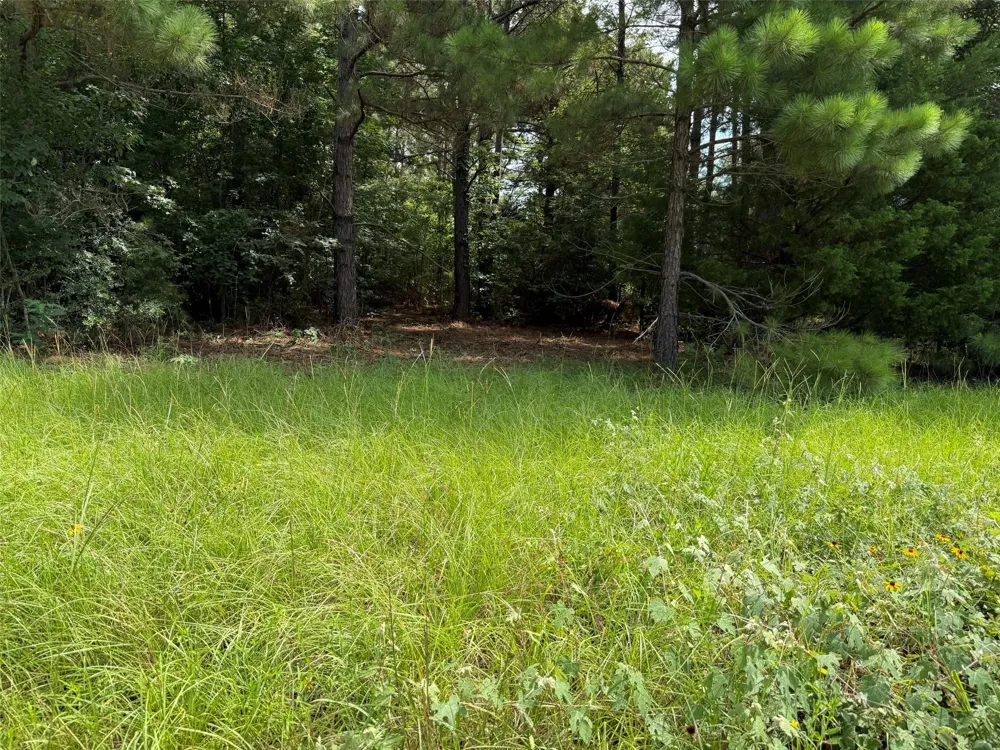 462 Cr 1655 Crockett, TX 75835
