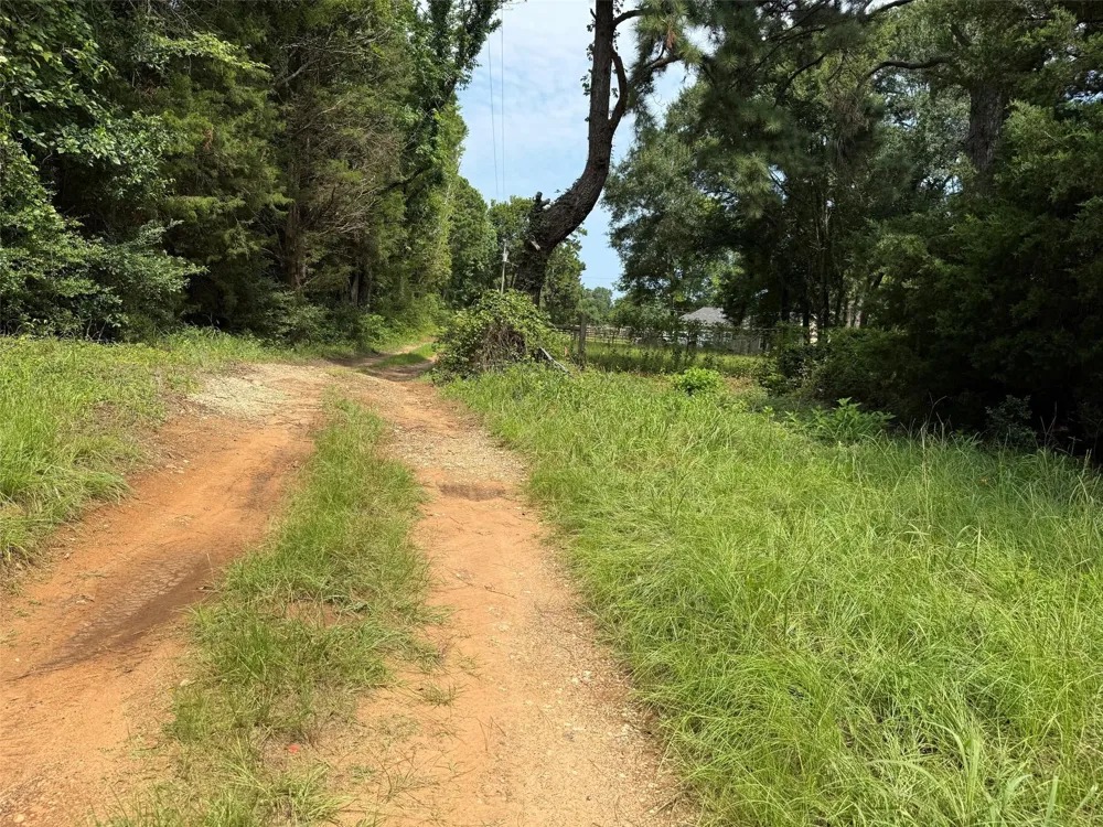462 Cr 1655 Crockett, TX 75835