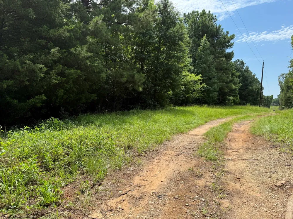 462 Cr 1655 Crockett, TX 75835