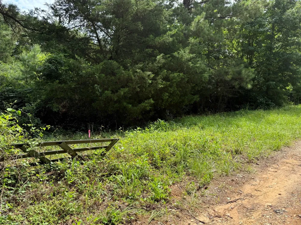 462 Cr 1655 Crockett, TX 75835