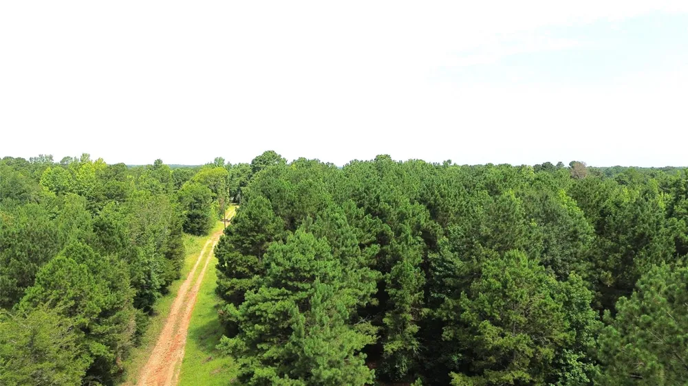 462 Cr 1655 Crockett, TX 75835