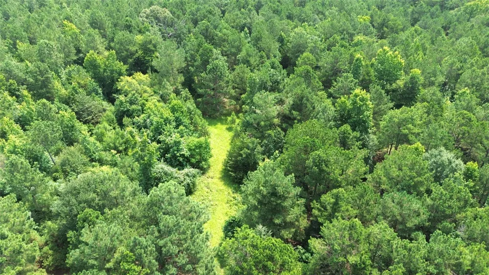 462 Cr 1655 Crockett, TX 75835