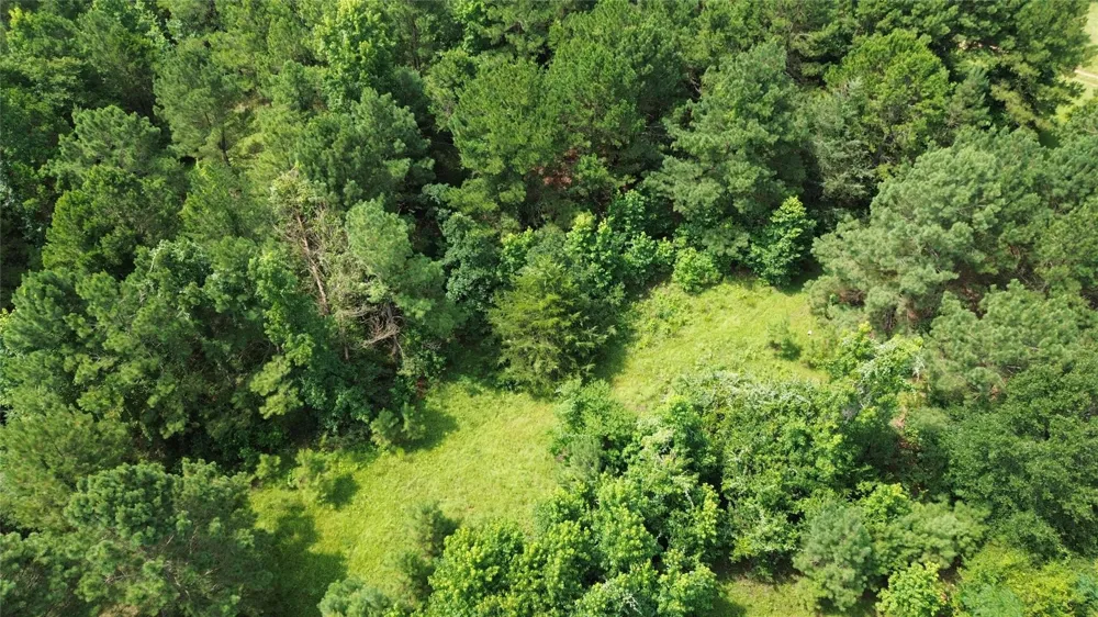 462 Cr 1655 Crockett, TX 75835