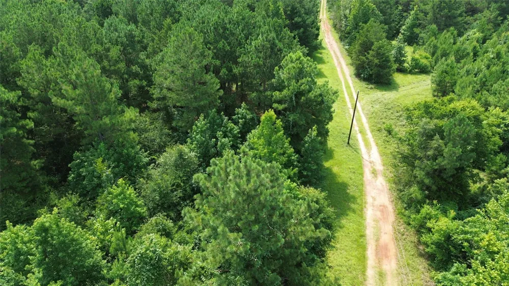 462 Cr 1655 Crockett, TX 75835