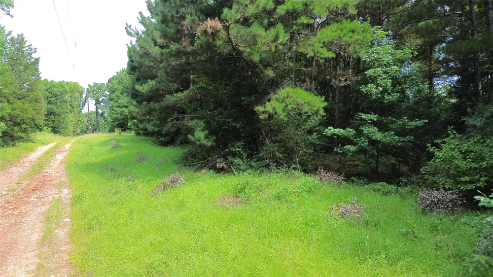 462 Cr 1655 Crockett, TX 75835
