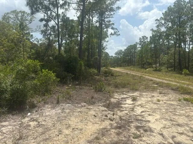 387 Marionette Avenue Lake Placid, FL 33852