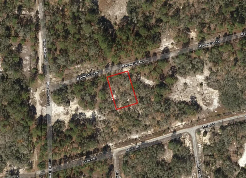 387 Marionette Avenue Lake Placid, FL 33852