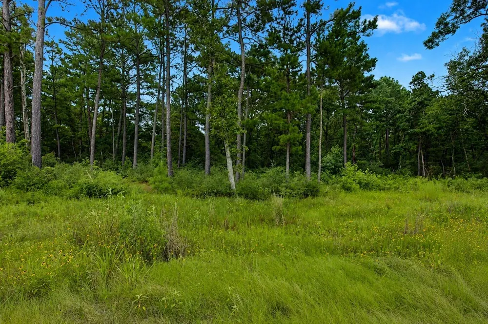 90 Cr 114 Centerville, TX 75833
