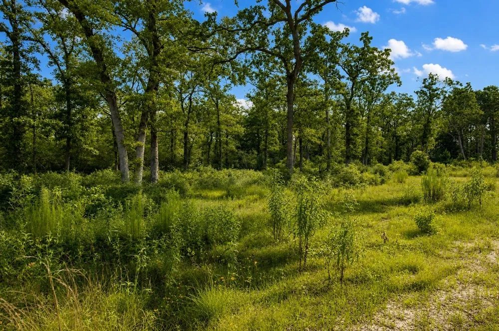90 Cr 114 Centerville, TX 75833