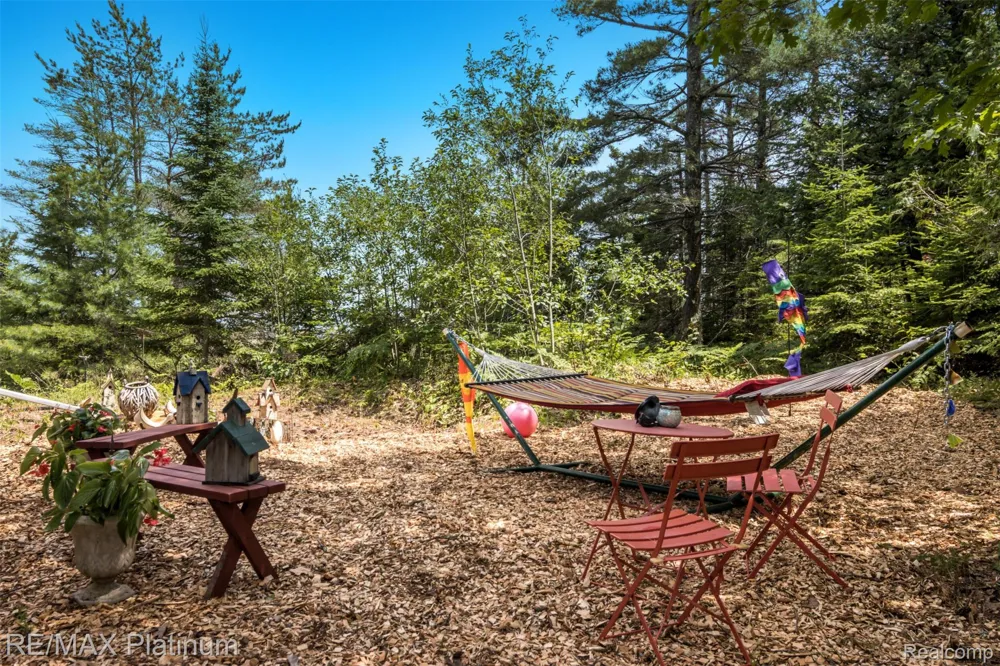 33090 East Side Drive Peaine Township, MI 49782
