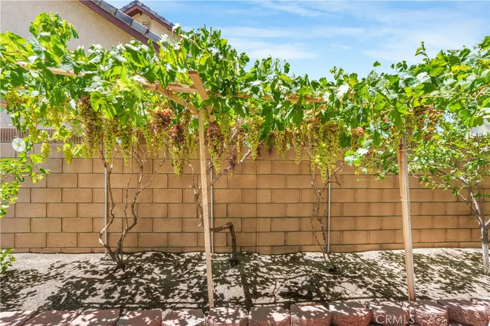 2102 Redrock Ct Palmdale, CA 93551